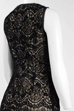 Adrianna Papell - AP1D101560 Sleeveless Velvet Lace Sheath Dress Cocktail Dresses