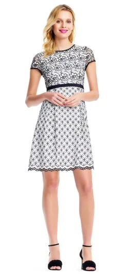 Adrianna Papell - AP1D101945 Lace Jewel Neck A-line Dress Cocktail Dresses