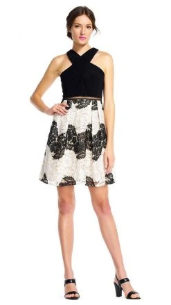 Adrianna Papell - Crossed Neck Lace A-line Dress AP1E201113