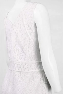 Adrianna Papell - Lace Piping Dress 11242730