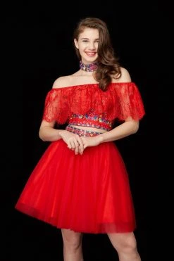 Angela & Alison - 72022 Embroidered Two-Piece Tulle Dress