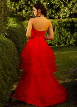 Ashley Lauren - 1293 Strapless Layered Tulle A-line Dress Formal Gowns