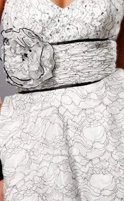 Blush By Alexia Designs - Lace Sweetheart A-line Dress 9141