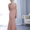 Christina Wu Elegance - Jewel Paneled Bateau Neck Long Gown 17857 - 1 Pc Mauve In Size 6 Available 1 Christina Wu Elegance - Jewel Paneled Bateau Neck Long Gown 17857 - 1 Pc Mauve In Size 6 Available