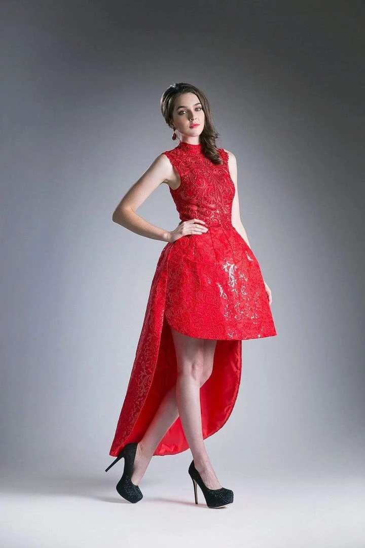 Cinderella Divine - 12228 Beaded High Neck High Low Dress 5 Cinderella Divine - 12228 Beaded High Neck High Low Dress