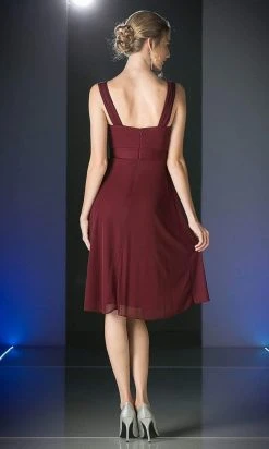 Cinderella Divine - 3802 Sleeveless V-Neck Ruched Chiffon A-Line Dress