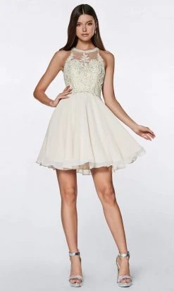 Cocktail Dresses Cinderella Divine - CD0141 Beaded Lace Halter Neck Chiffon Cocktail Dress - 1 Pc Blush In Size XS And 1 Pc Champagne In Size M Available