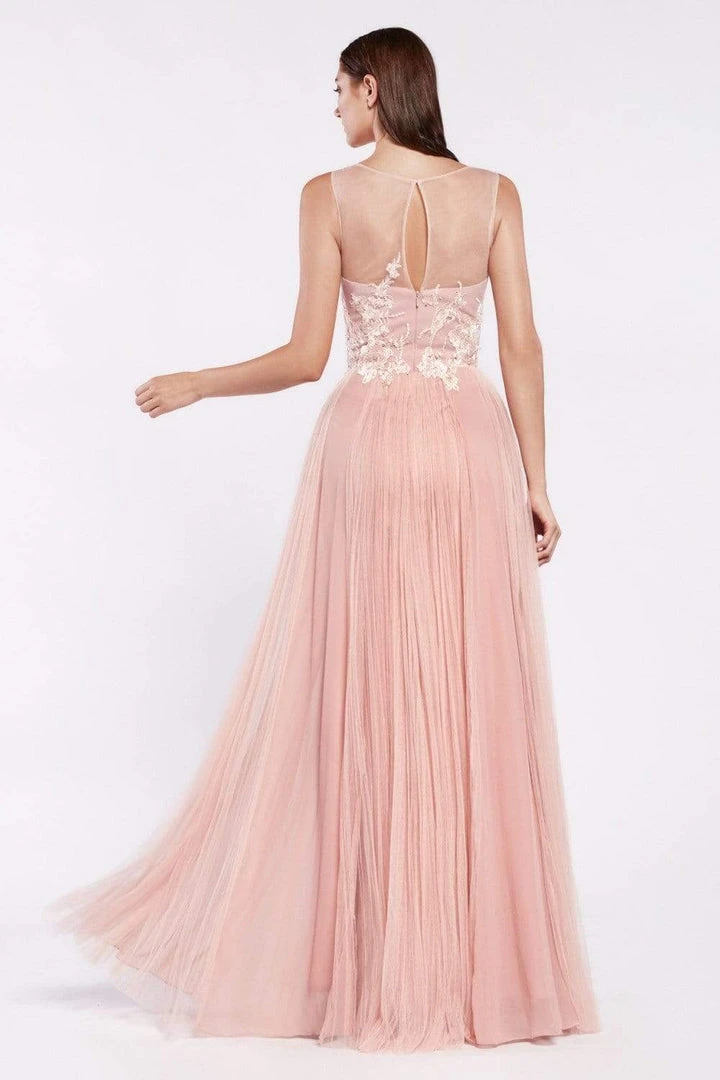 Formal Gowns Cinderella Divine - CJ528 Lace V-neck Tulle A-line Gown 4 Formal Gowns Cinderella Divine - CJ528 Lace V-neck Tulle A-line Gown