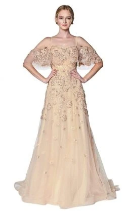 Formal Gowns Cinderella Divine - CK896 Floral Embellished Off-Shoulder A-line Gown