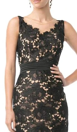 Cinderella Divine - Floral-lace-illusion-cocktail-dress