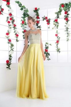 Cinderella Divine - High Halter Pearl Adorned Bodice Chiffon Gown 16 Cinderella Divine - High Halter Pearl Adorned Bodice Chiffon Gown