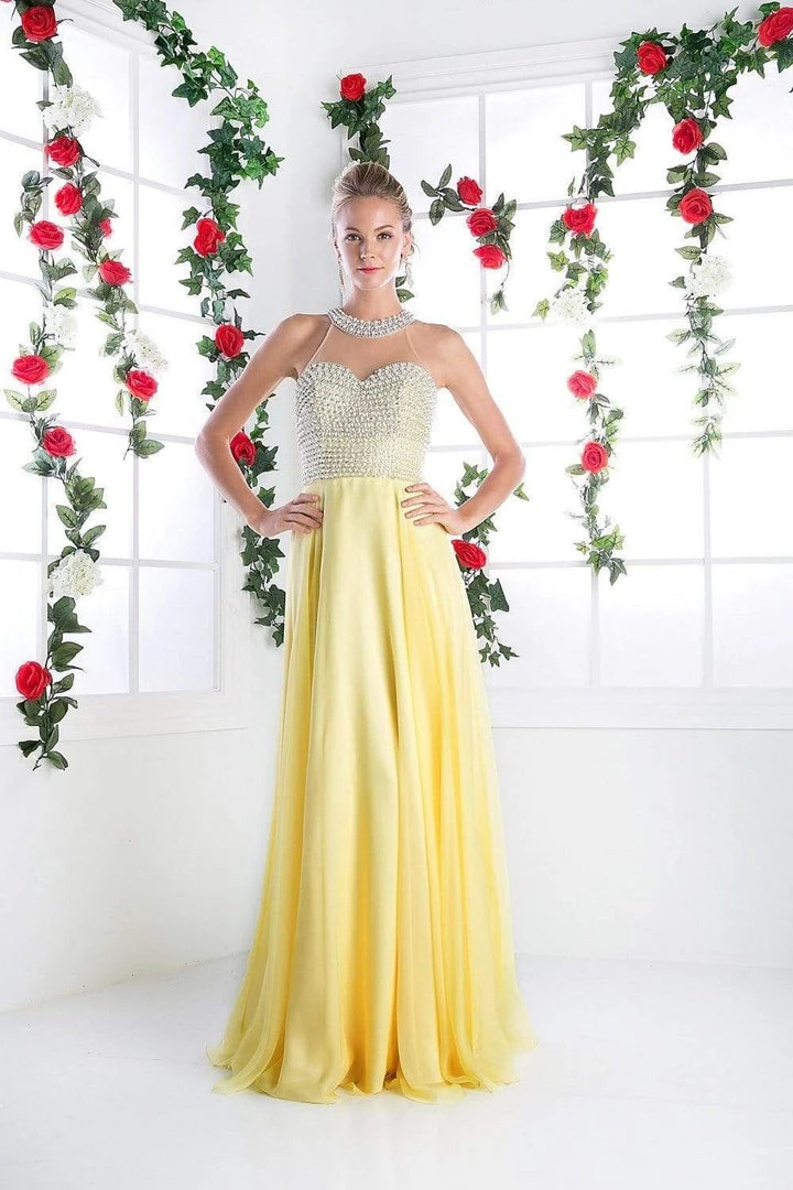 Cinderella Divine - High Halter Pearl Adorned Bodice Chiffon Gown 3 Cinderella Divine - High Halter Pearl Adorned Bodice Chiffon Gown