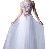 Formal Gowns Cinderella Divine - HW15 Floral Embroidered Tulle Dress