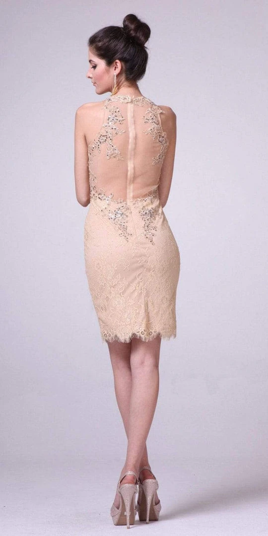 Cinderella Divine - JC3455 Sequined Lace Illusion Halter Sheath Dress 4 Cinderella Divine - JC3455 Sequined Lace Illusion Halter Sheath Dress