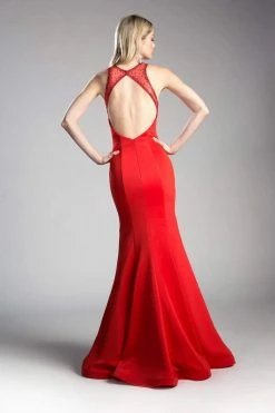 Cinderella Divine - Sheer Seamed Fitted Mermaid Evening Dress Formal Gowns