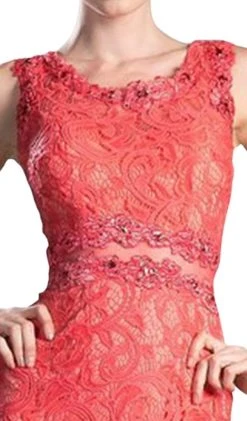 Cinderella Divine - Sleeveless Illusion Jewel Lace Sheath Fitted Cocktail Dress