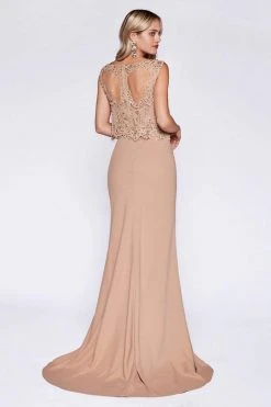 Formal Gowns Cinderella Divine - SL767 Sleeveless Lace Popover Fitted Evening Gown