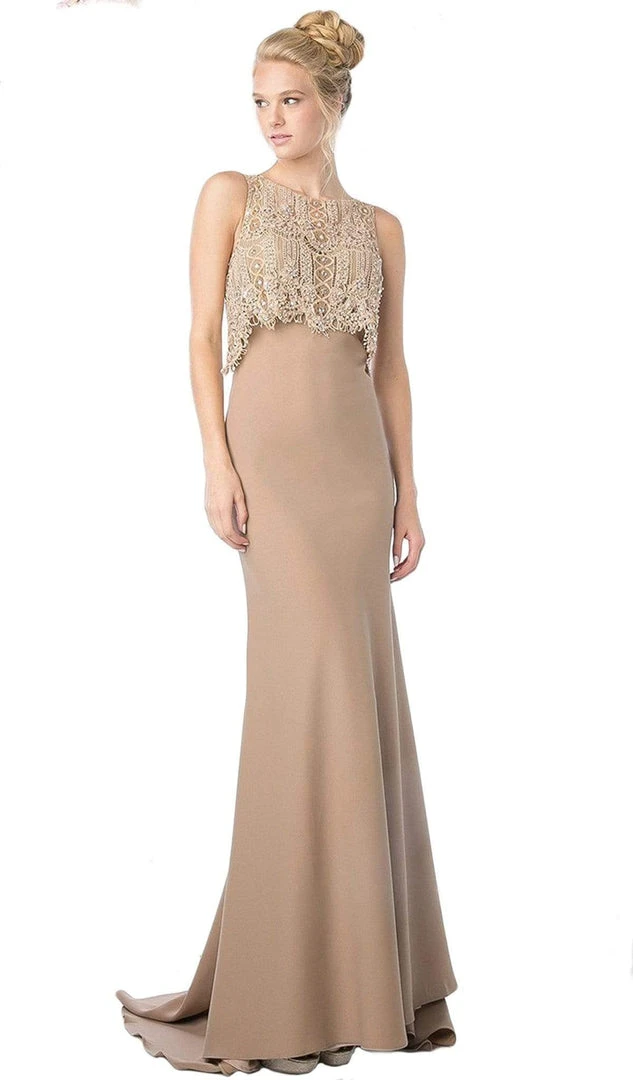 Formal Gowns Cinderella Divine - SL767 Sleeveless Lace Popover Fitted Evening Gown 5 Formal Gowns Cinderella Divine - SL767 Sleeveless Lace Popover Fitted Evening Gown