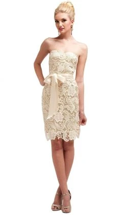 Cinderella Divine - Strapless Satin Sashed Lace Sheath Dress