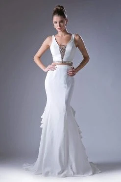 Cinderella Divine - Two Piece Sleeveless Ruffled Trumpet Gown