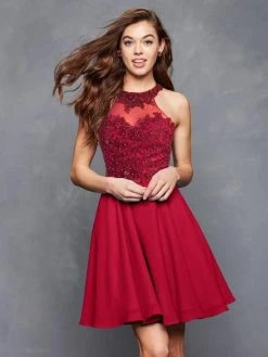Cocktail Dresses Clarisse - S3528 Lace Halter Neck Chiffon A-line Dress
