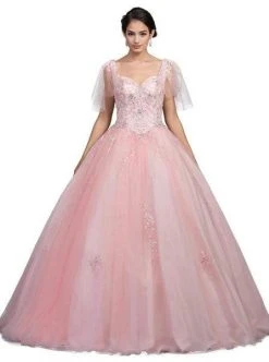 Dancing Queen - Sheer Butterfly Sleeve Embellished Quinceanera Ballgown 1203 - 1 Pc Blush In Size S Available