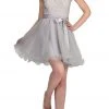 Dancing Queen - Sleeveless Lacy Illusion Short Cocktail Dress 8741 - 1 Pc Silver In Size S Available