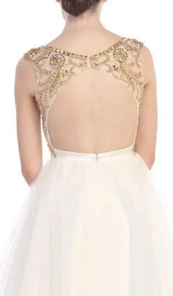 Eureka Fashion - Crystal Embellished Sheer Cocktail Dress