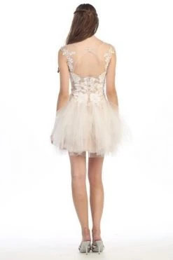 Eureka Fashion Lace Embroidered Mesh A-line Dress 3911 Cocktail Dresses