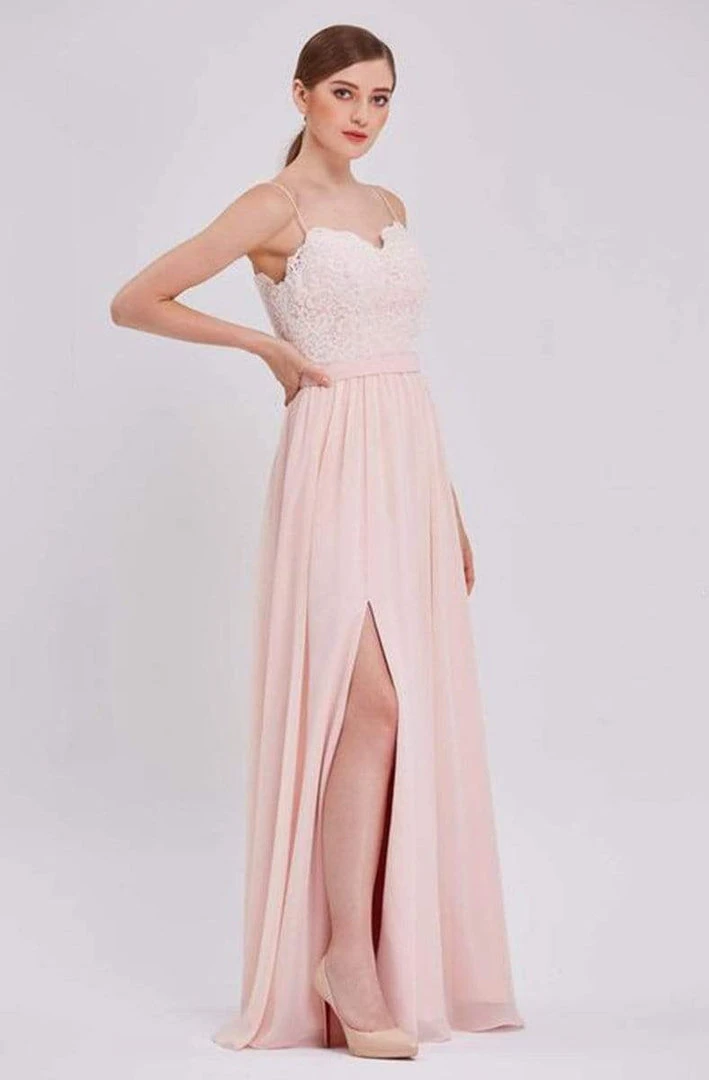J'Adore Dresses - J16017 Laced Chiffon A-line Long Dress 5 J'Adore Dresses - J16017 Laced Chiffon A-line Long Dress
