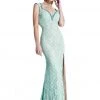 Johnathan Kayne - 535 Cap Sleeve Lace Accented Gown 2 Johnathan Kayne - 535 Cap Sleeve Lace Accented Gown