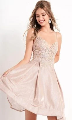 JVN By Jovani Jovani - Embroidered Bodice A-Line Dress JVN04010SC - 1 Pc Nude In Size 0 Available