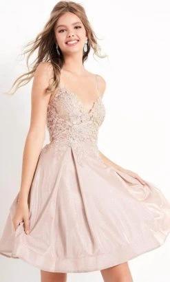 JVN By Jovani Jovani - Embroidered Bodice A-Line Dress JVN04010SC - 1 Pc Nude In Size 0 Available