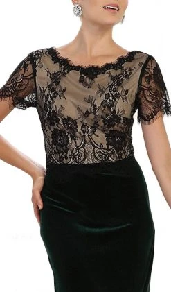 Formal Gowns May Queen - Lace Bateau Sheath Evening Dress