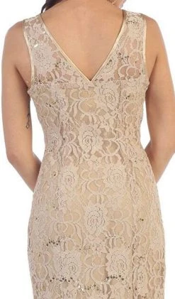 Formal Gowns May Queen - Lace Embellished V-neck Sheath Evening Dress 12 Formal Gowns May Queen - Lace Embellished V-neck Sheath Evening Dress