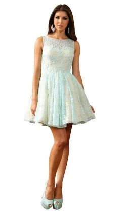 May Queen - Lace Illusion Jewel A-line Cocktail Dress