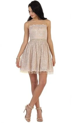 Cocktail Dresses May Queen - Lace Sheer Jewel A-line Cocktail Dress