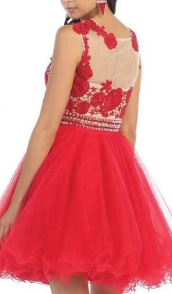 Cocktail Dresses May Queen - MQ1141 Astonishing Embroidered Bateau Illusion A-Line Cocktail Dress 8 Cocktail Dresses May Queen - MQ1141 Astonishing Embroidered Bateau Illusion A-Line Cocktail Dress