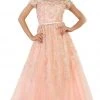 Formal Gowns May Queen - Shimmering Illusion Scoop Neck A-line Evening Gown