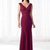 Mon Cheri - Stretch Mesh Pleated V-Neckline Formal Gown 218603 - 1 Pc Raspberry In Size 4 Available Formal Gowns 1 Mon Cheri - Stretch Mesh Pleated V-Neckline Formal Gown 218603 - 1 Pc Raspberry In Size 4 Available Formal Gowns