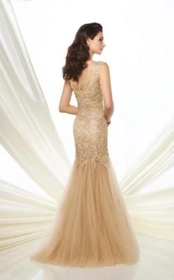 Formal Gowns Montage By Mon Cheri - 216964 Tulle Lace Trumpet Dress - 1 Pc Champagne In Size 10 Available 7 Formal Gowns Montage By Mon Cheri - 216964 Tulle Lace Trumpet Dress - 1 Pc Champagne In Size 10 Available