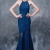 Nina Canacci - 2141 Lace Illusion Panel Sheath Gown Formal Gowns