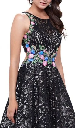 Nox Anabel - 8281 Sleeveless Embroidered Lace Scoop A-line Dress Formal Gowns