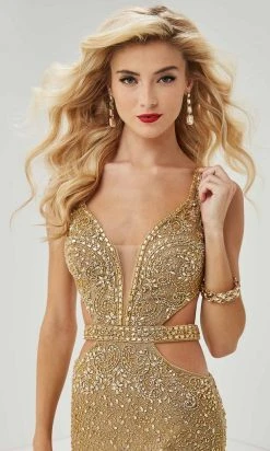 Panoply - 14075 Illusion Plunged Neck Cutout Bodice Fully Beaded Gown