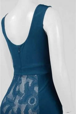 Formal Gowns Sangria - DWHGC93 Sleeveless Lace Panel Gown