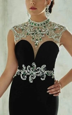 Formal Gowns Tiffany Designs - 46039 Bejeweled Choker Illusion Evening Gown