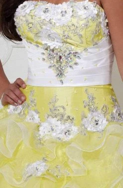 Formal Gowns Tiffany Designs - 56226 Strapless Floral Appliqued Ballgown 9 Formal Gowns Tiffany Designs - 56226 Strapless Floral Appliqued Ballgown