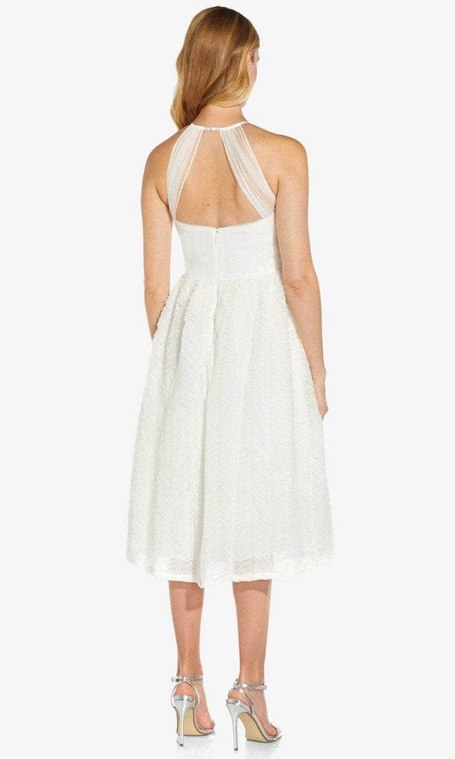 Adrianna Papell AP1E207841 - Halter Shirred Formal Dress 6 Adrianna Papell AP1E207841 - Halter Shirred Formal Dress