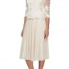 Alex Evenings - 81122420 Embroidered Quarter Sleeves A-Line Dress