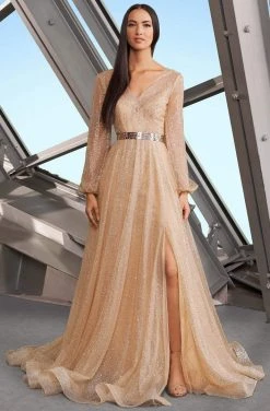 Alexander By Daymor - 1182 V-Neck Long Sleeves A-Line Gown